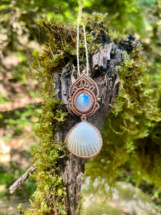 Collier Labradorite blanche et coquillage